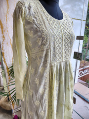 Mulchanderi Chikankari Gown